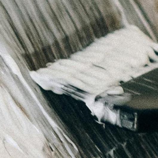 Black Friday Package #1